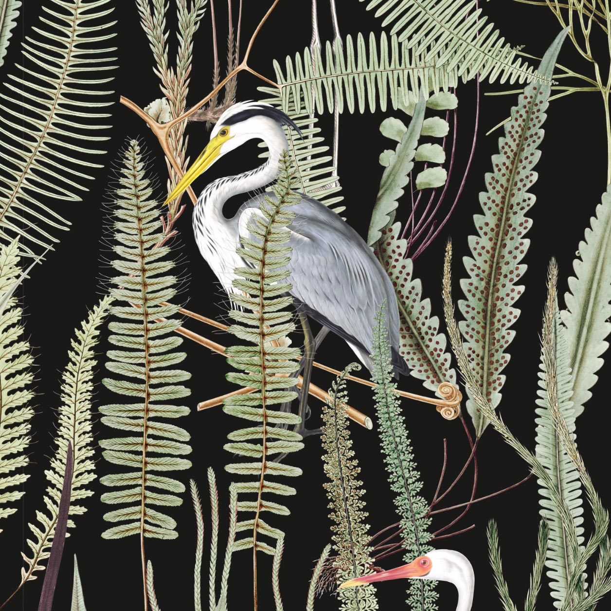 Captivating-black-background-heron-and-botanical-peel-and-stick-wall-wallpaper.-This-statement-piece-seamlessly-blends-the-drama-of-black-with-the-intricate-beauty-of-botanical-elements-and-graceful-herons