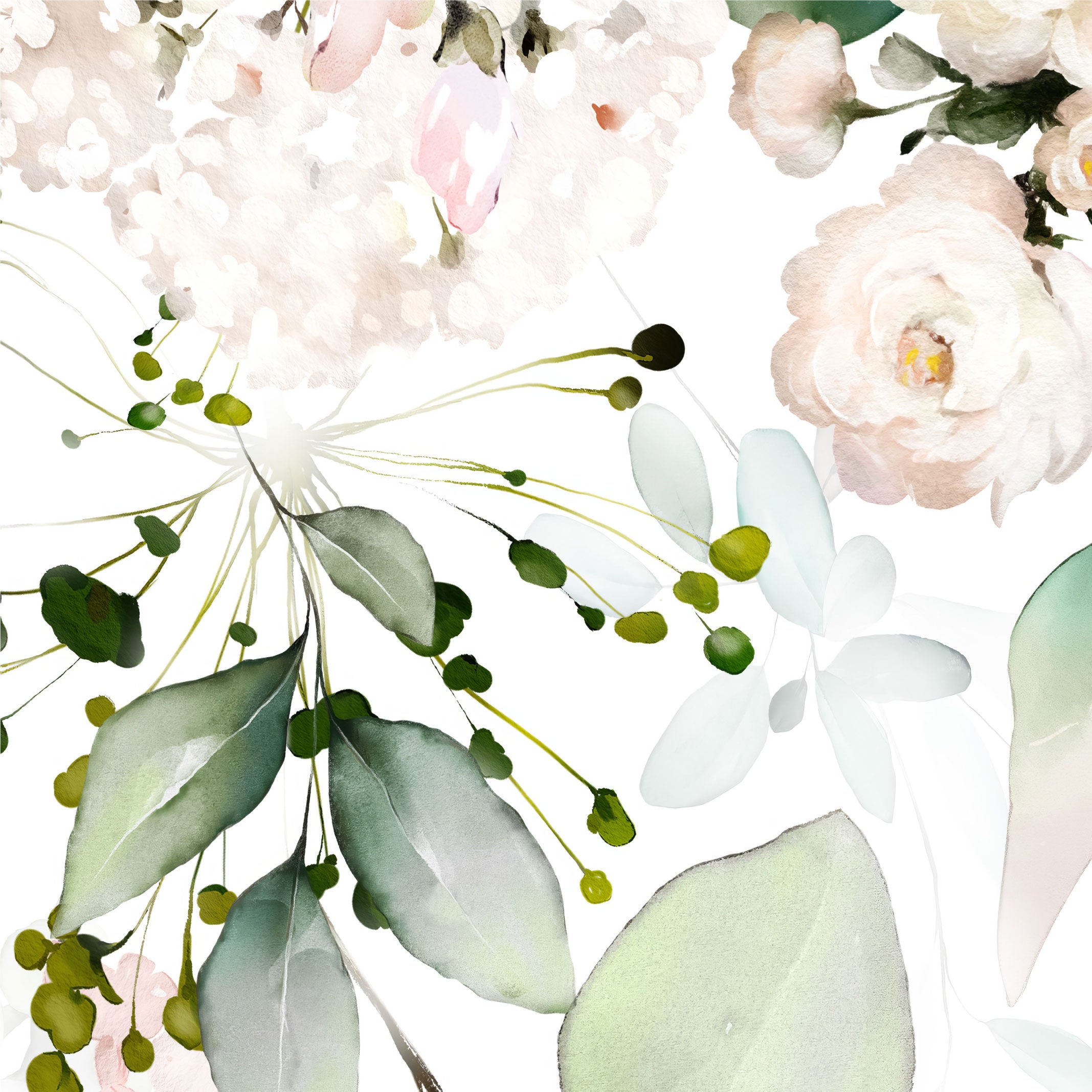 files/Close-up.jpg