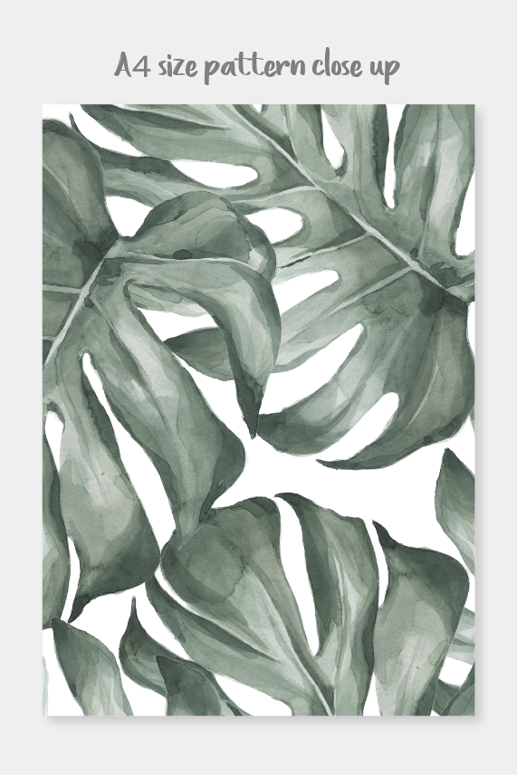 Peel And Stick Wallpaper Tropical