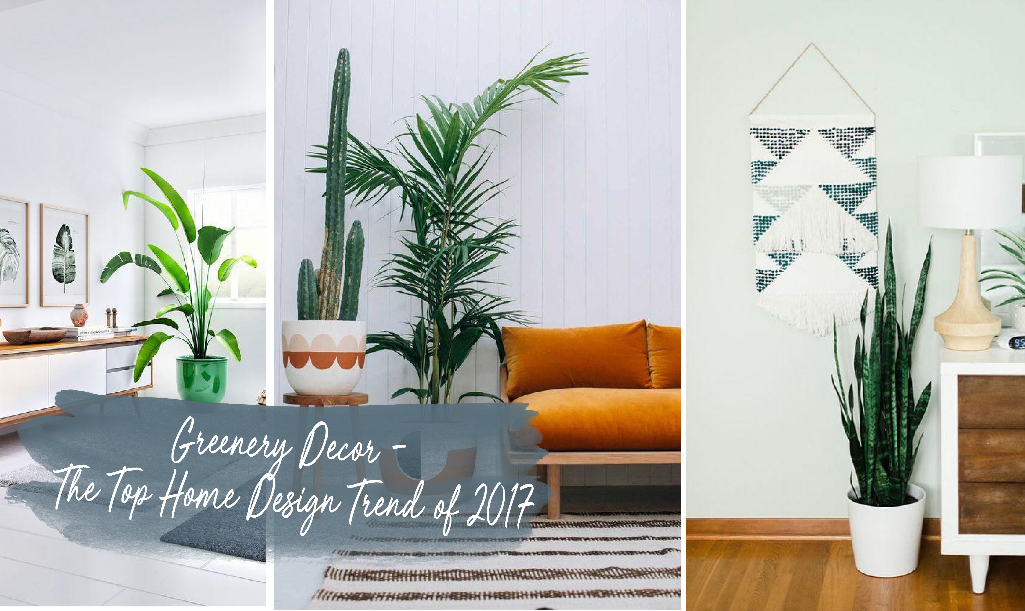 Greenery Home Decor Trend 2017 Wallflora