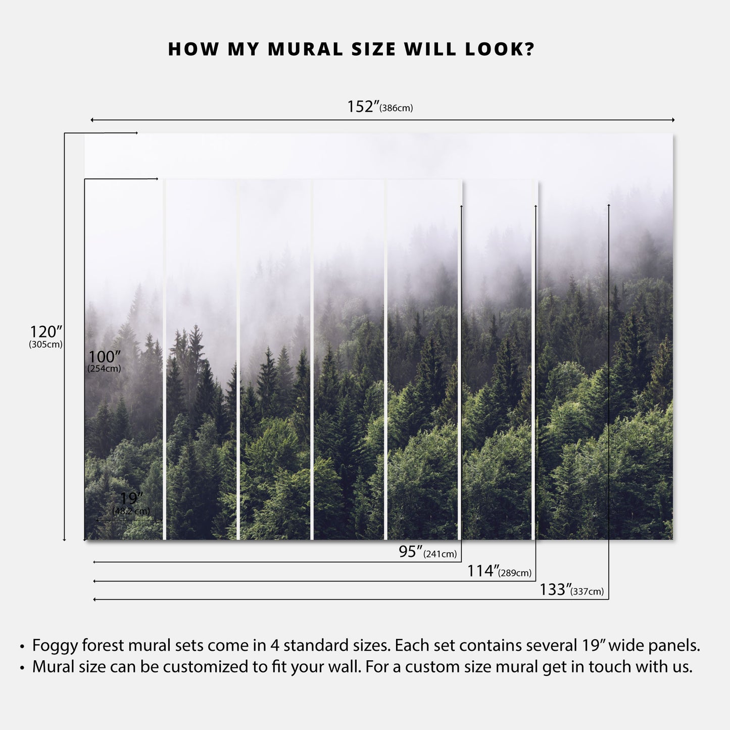 Peel and Stick Foggy Forest Wallpaper Mural | Easy to Install, Removable, Large Wall Art