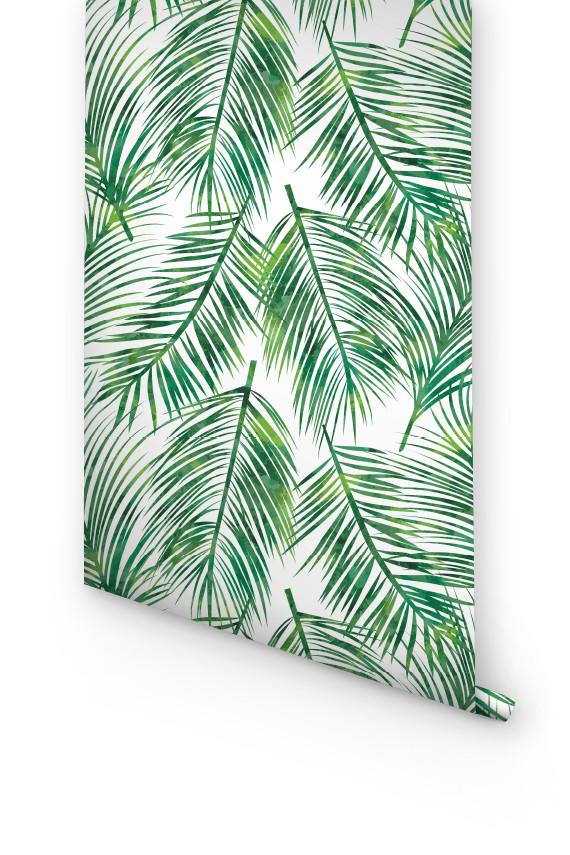 Palm Leaves Removable Wallpaper For Office