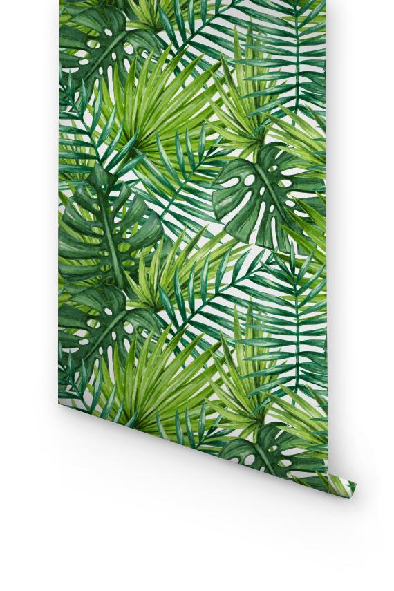 Bold Tropical Removable Wallpaper