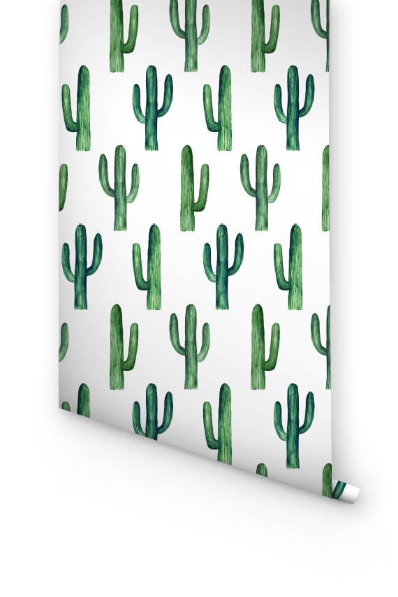 Green Cactus Removable Wallpaper For Boys Room